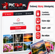 Publiczna